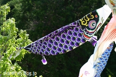 c0134734_1384923.jpg