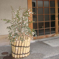 d0033734_873621.jpg