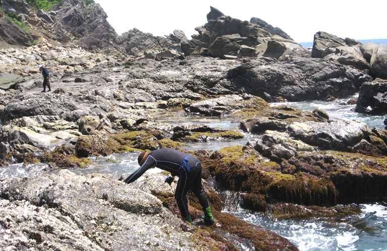 f0042737_17294624.jpg
