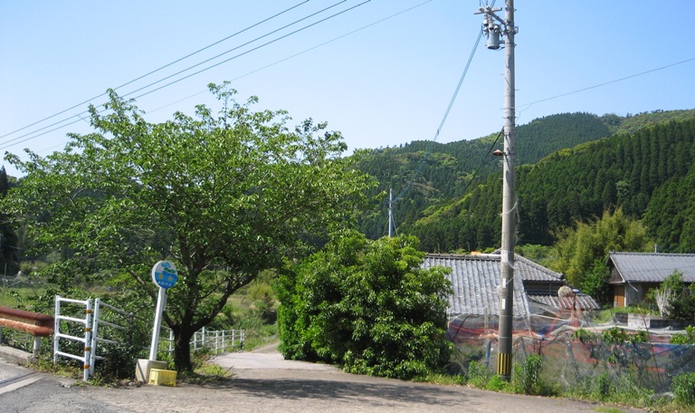 f0042737_173383.jpg