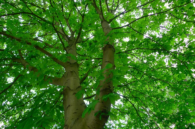 c0153740_22234858.jpg