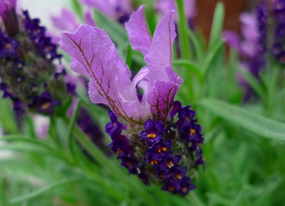 c0153740_2292992.jpg