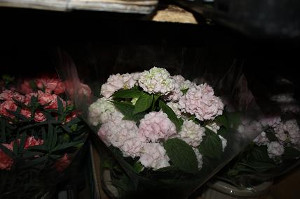 a0132041_2283325.jpg