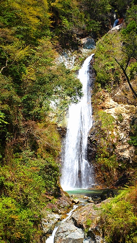 e0149241_001096.jpg