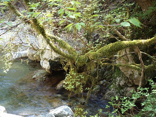 e0149241_002631.jpg