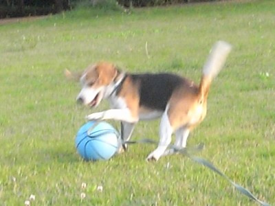 c0119142_6562189.jpg