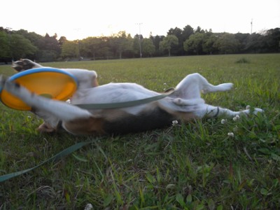 c0119142_744767.jpg