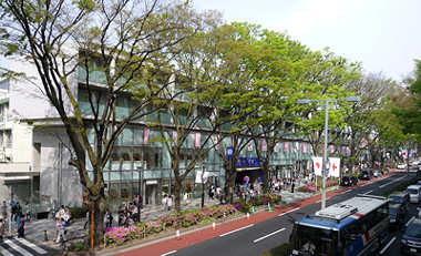 d0039443_23175680.jpg