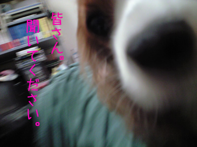 a0120944_23161438.jpg
