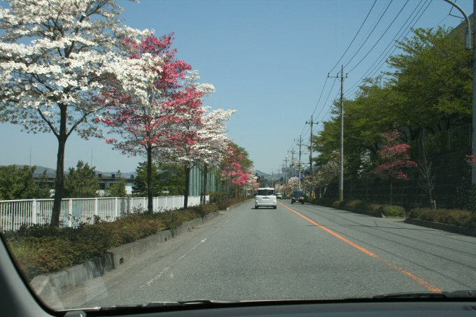 f0174244_11125861.jpg