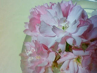 f0179947_23511554.jpg