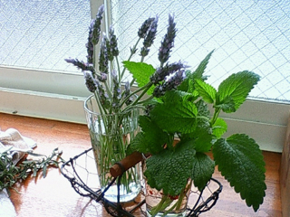 f0179947_2355490.jpg