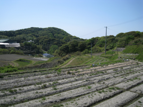 c0145449_224535.jpg