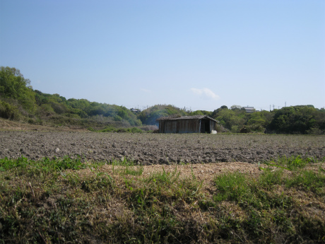 c0145449_225255.jpg