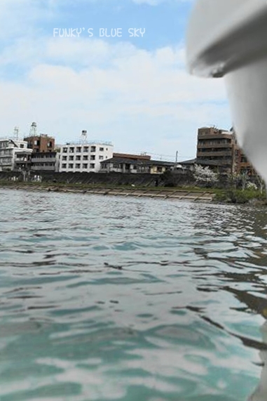 c0145250_1285460.jpg