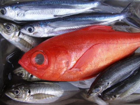 f0043750_0273541.jpg