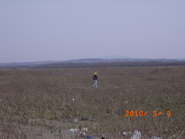 a0157451_21354242.jpg