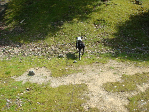 b0183452_2022951.jpg