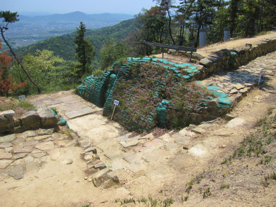 d0031853_513456.jpg