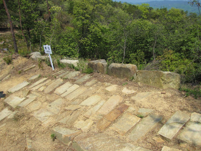 d0031853_522166.jpg