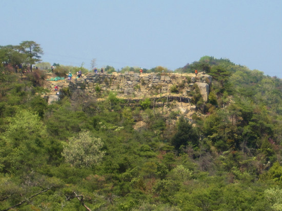 d0031853_534674.jpg