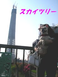a0052654_2336214.jpg