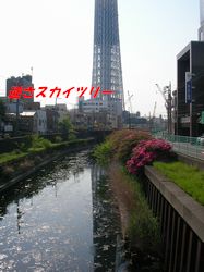 a0052654_23364122.jpg