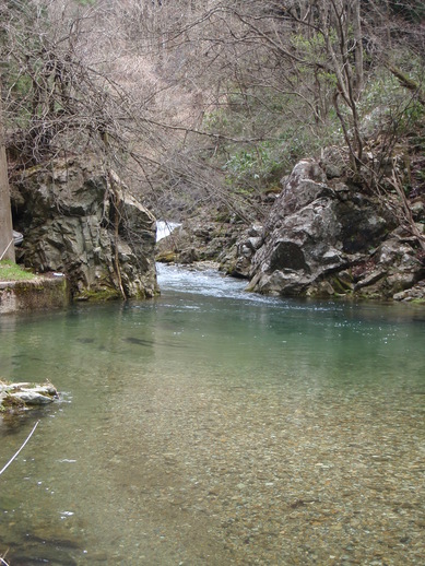 b0177355_238355.jpg