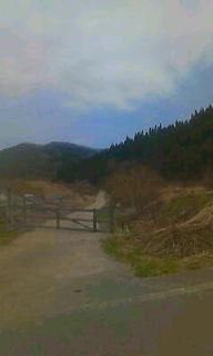 a0029157_1351823.jpg
