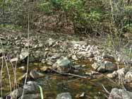 e0149157_5112591.jpg