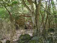 e0149157_511793.jpg