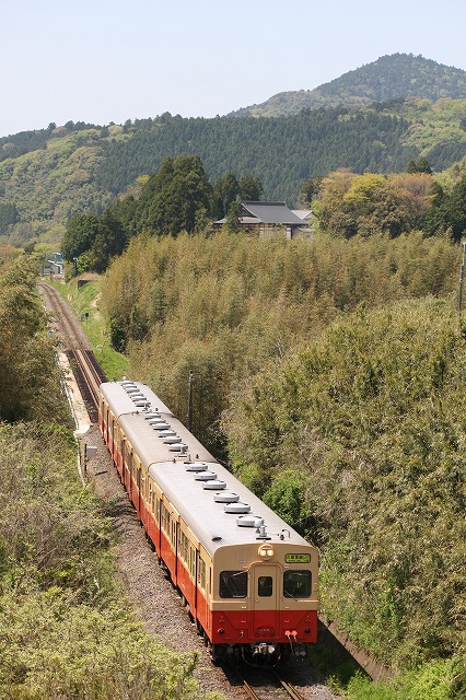 b0002858_1363588.jpg