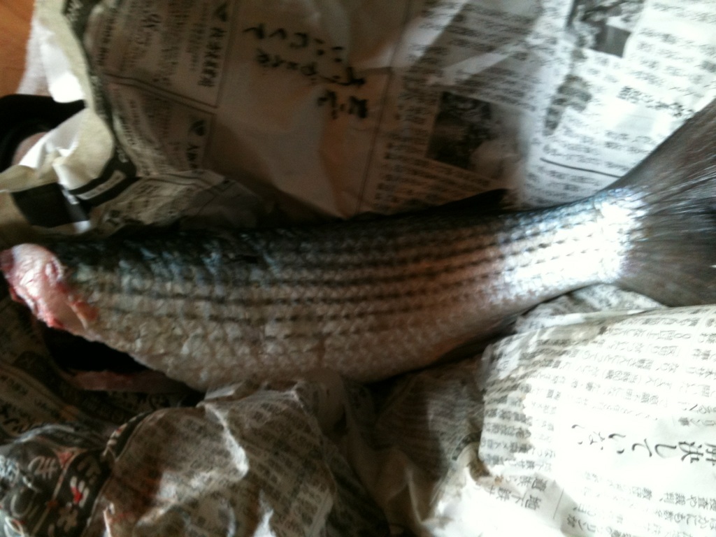 f0238058_8365289.jpg