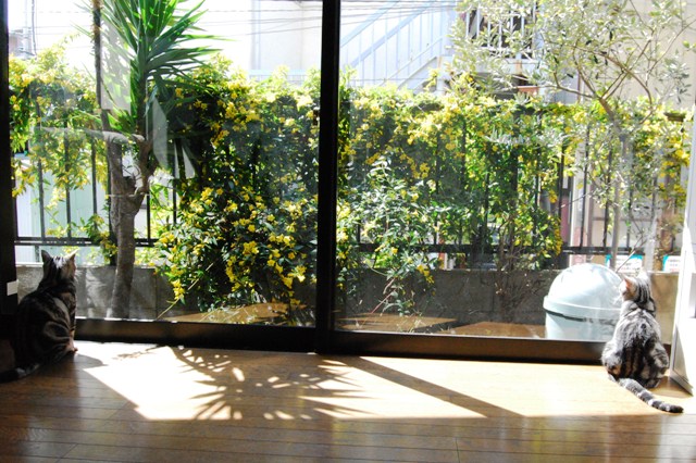 f0043859_14133655.jpg
