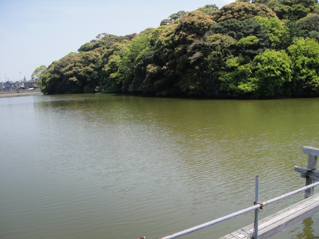 c0108460_2182820.jpg