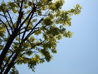 a0104162_21442229.jpg