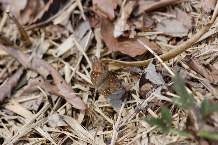 b0167762_2245720.jpg