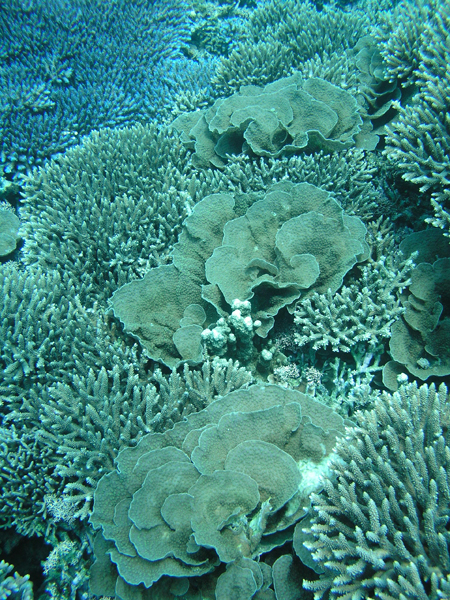 b0062363_2023753.jpg
