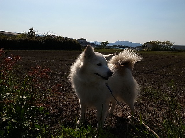 c0081363_23124843.jpg