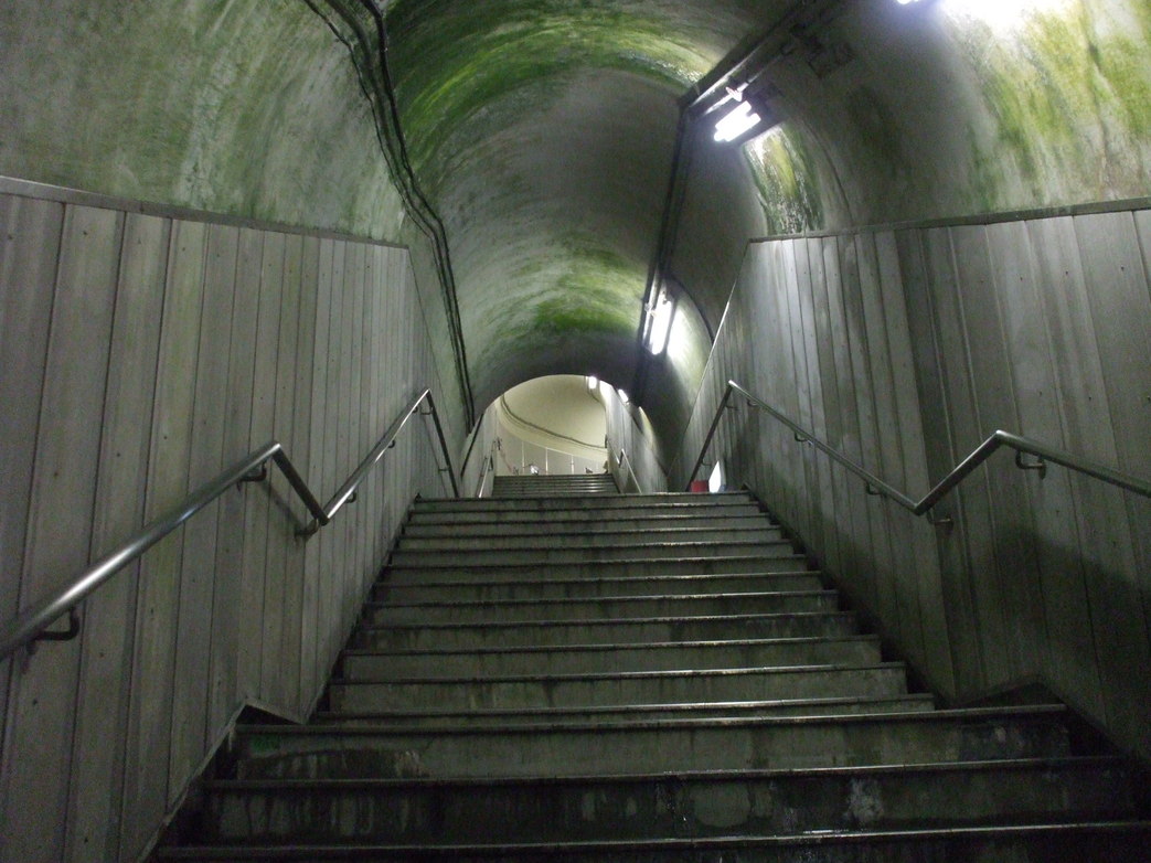 f0131165_19235161.jpg