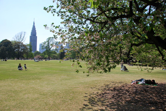 b0174068_22104.jpg