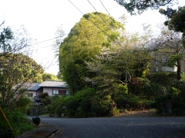 f0059671_1223636.jpg