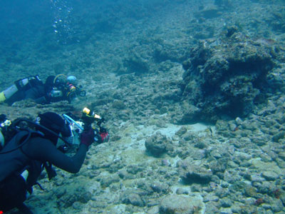 b0033573_18482370.jpg