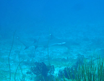 b0033573_18484476.jpg