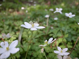 f0030875_23572563.jpg