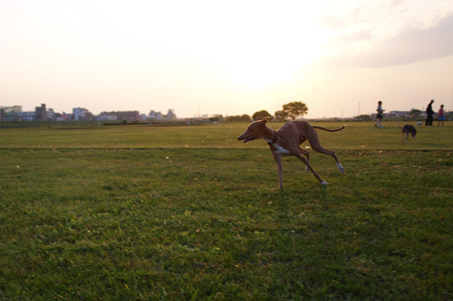 f0181775_0134986.jpg