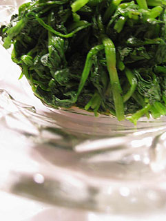 f0056476_0333830.jpg