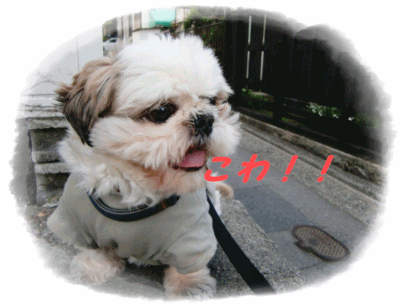 f0213476_211585.gif