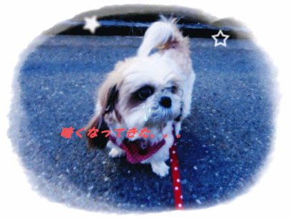 f0213476_2254556.gif