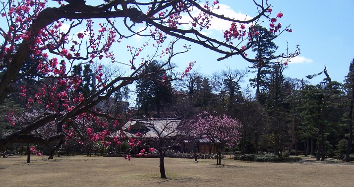 c0198781_11491787.jpg